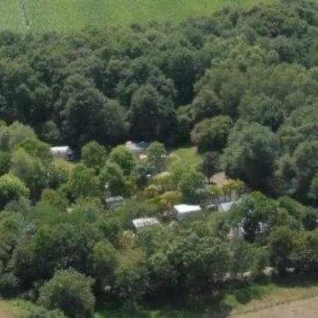 Mobil-home Avec Terrasse Pour 6 Personnes - Api-1-52-1359 Commequiers