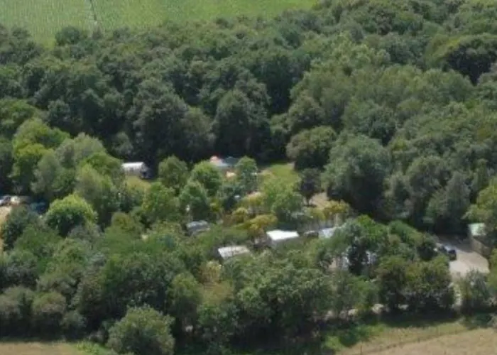 Mobil-home Avec Terrasse Pour 6 Personnes - Api-1-52-1359 Commequiers